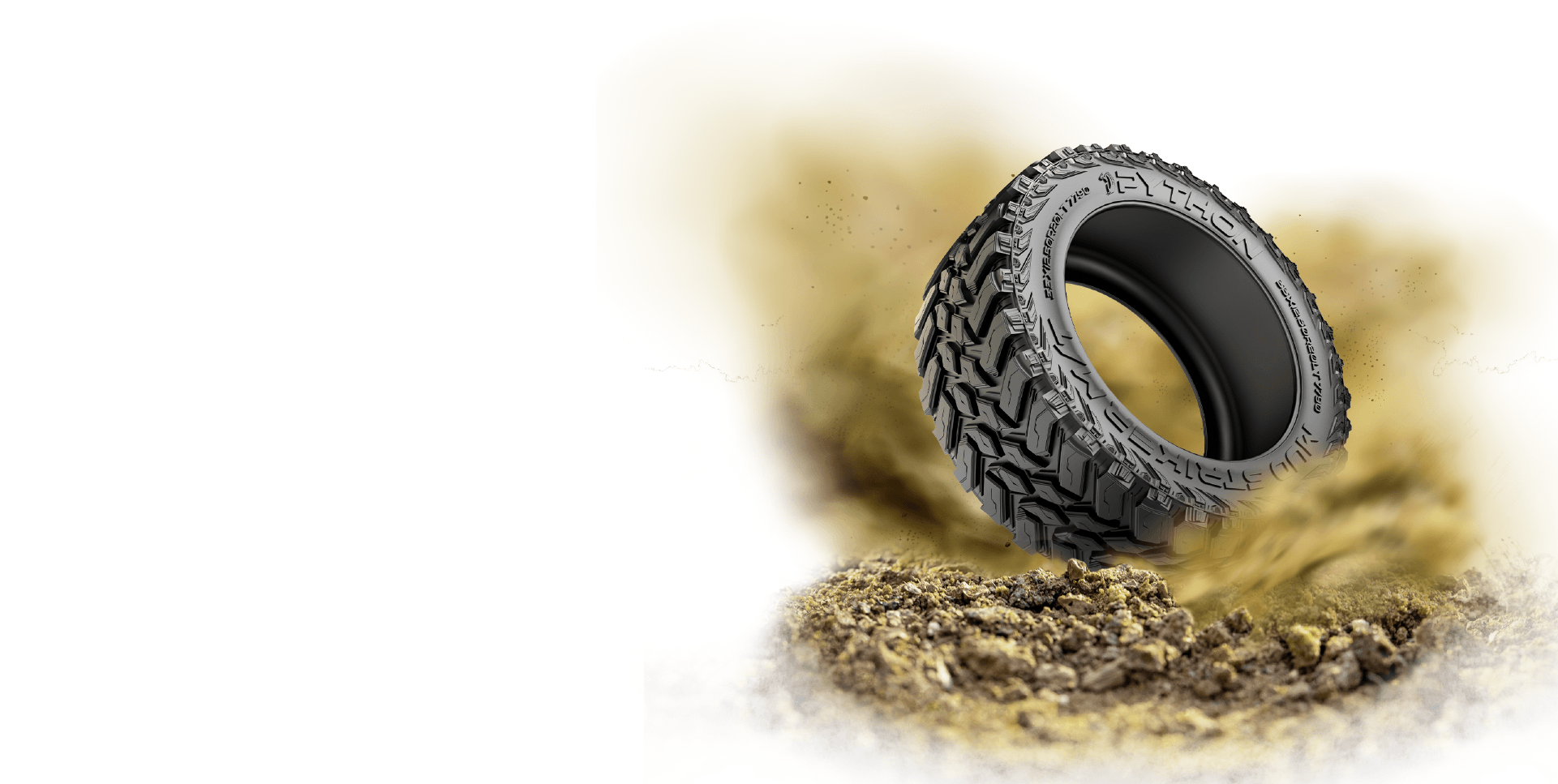 Tire in the Dirt