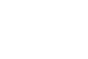 Python Logo